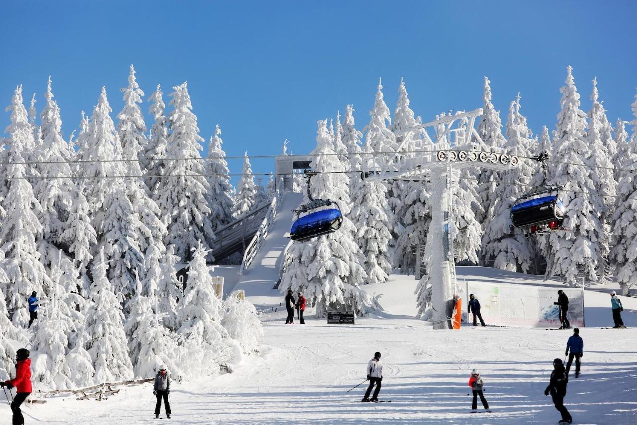 Apartman Dante Spindleruv Mlyn Apartment Bagian luar foto